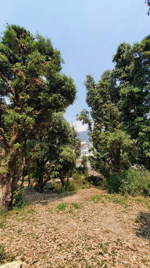 Nomadic Inn Dharamshala Exteriör bild